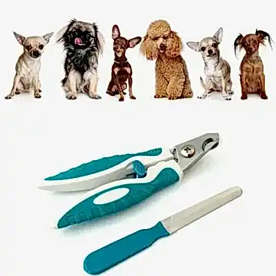 Малые породы - стрижка когтей с подпиливанием