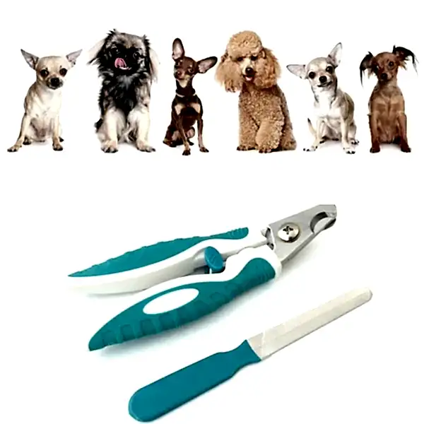 Малые породы - стрижка когтей с подпиливанием