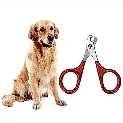 Крупные породы от 55 см в холке